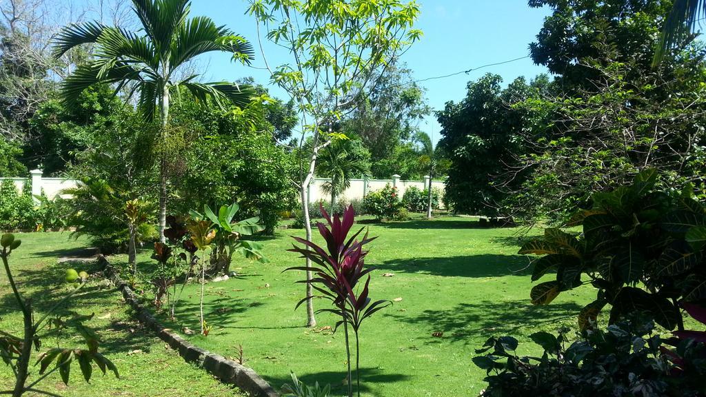 Pimento Lodge Resort Port Antonio Exterior foto